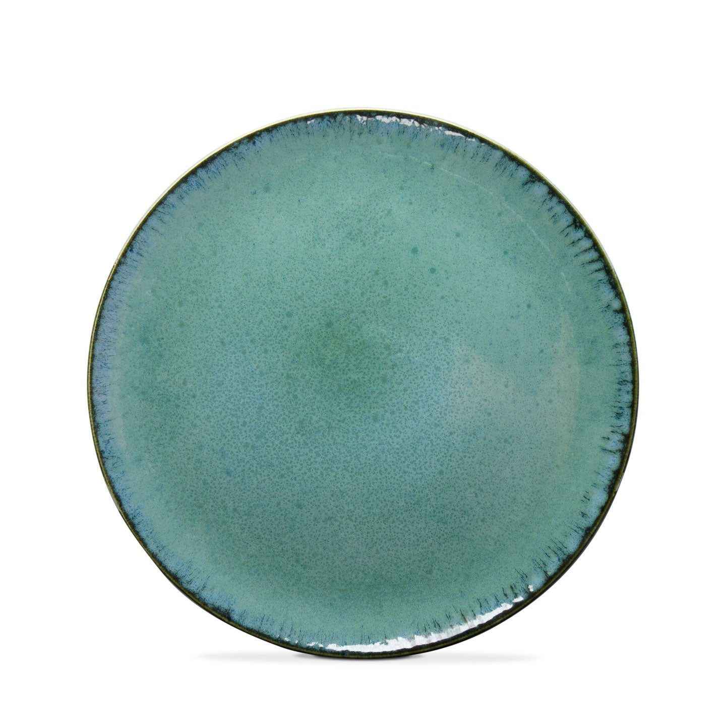 Amazonia | Dinner Plates | Set of 4 - Mystique Ceramics